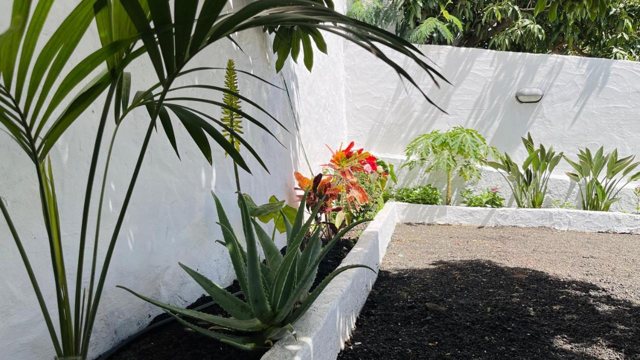 Jardin De La Suerte Villa Agaete  Exterior photo